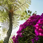 The Beverly Hills Hotel - Dorchester Collection